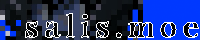 salis.moe banner, 200 × 40 · PNG