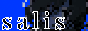 salis.moe banner, 88 × 31 · PNG
